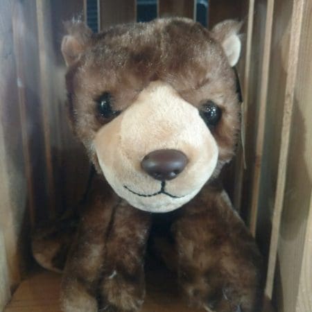 Brown Bear Floppy Stuffed Animal