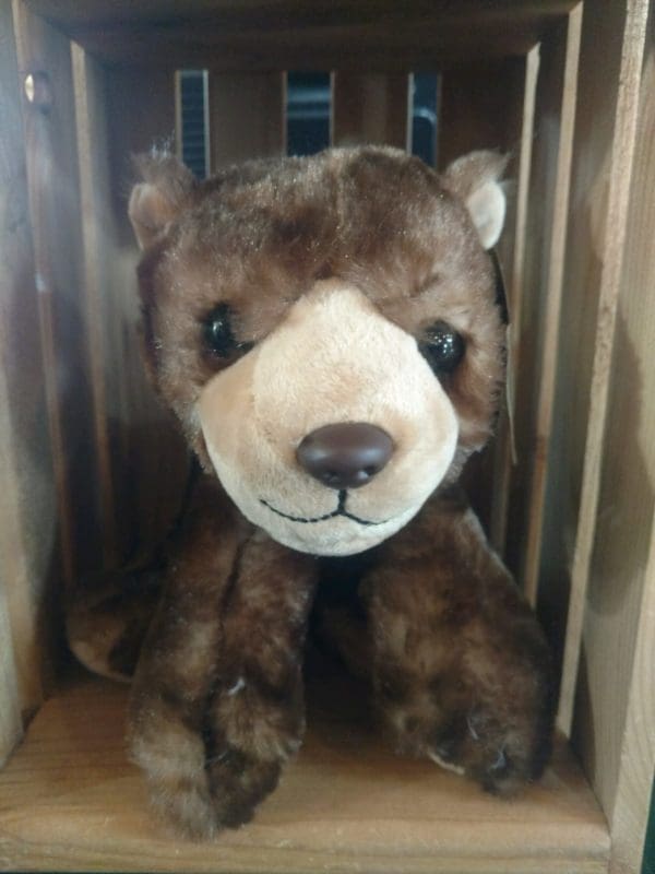 Brown Bear Floppy Stuffed Animal