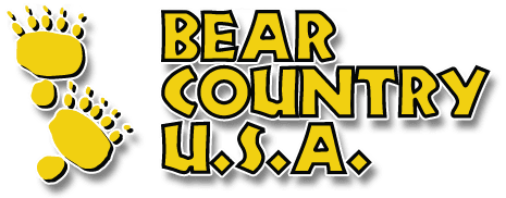 yellow bear country logo