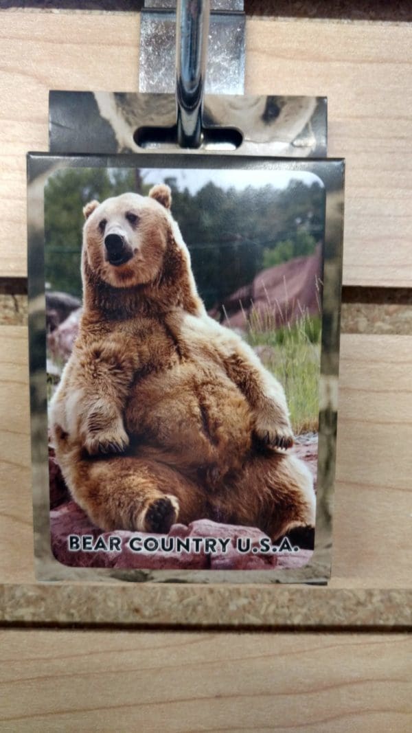 bear country cards